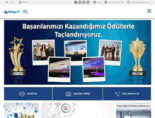 Tablet Screenshot of detaysoft.com